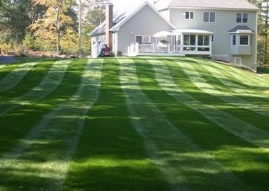 Mueskes Commercial Lawn Care services